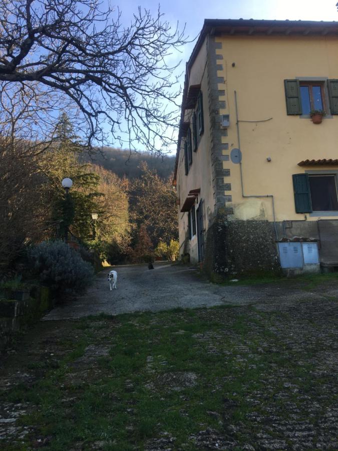 Polcanto Welcome In Toscana מראה חיצוני תמונה