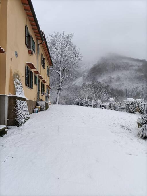 Polcanto Welcome In Toscana מראה חיצוני תמונה