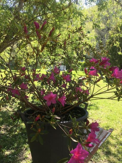 Polcanto Welcome In Toscana מראה חיצוני תמונה